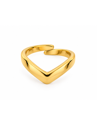 ANELLO V