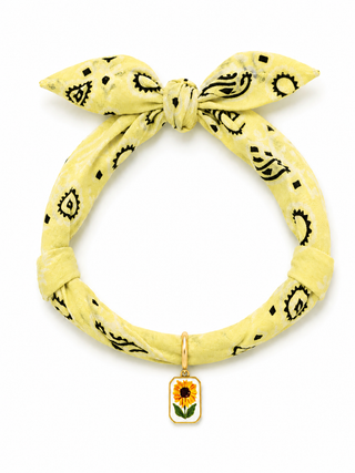 BANDANA COLOR PANTONE