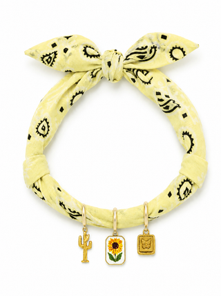 BANDANA COLOR PANTONE