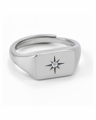 AN CHEVALIER ZIRCONE